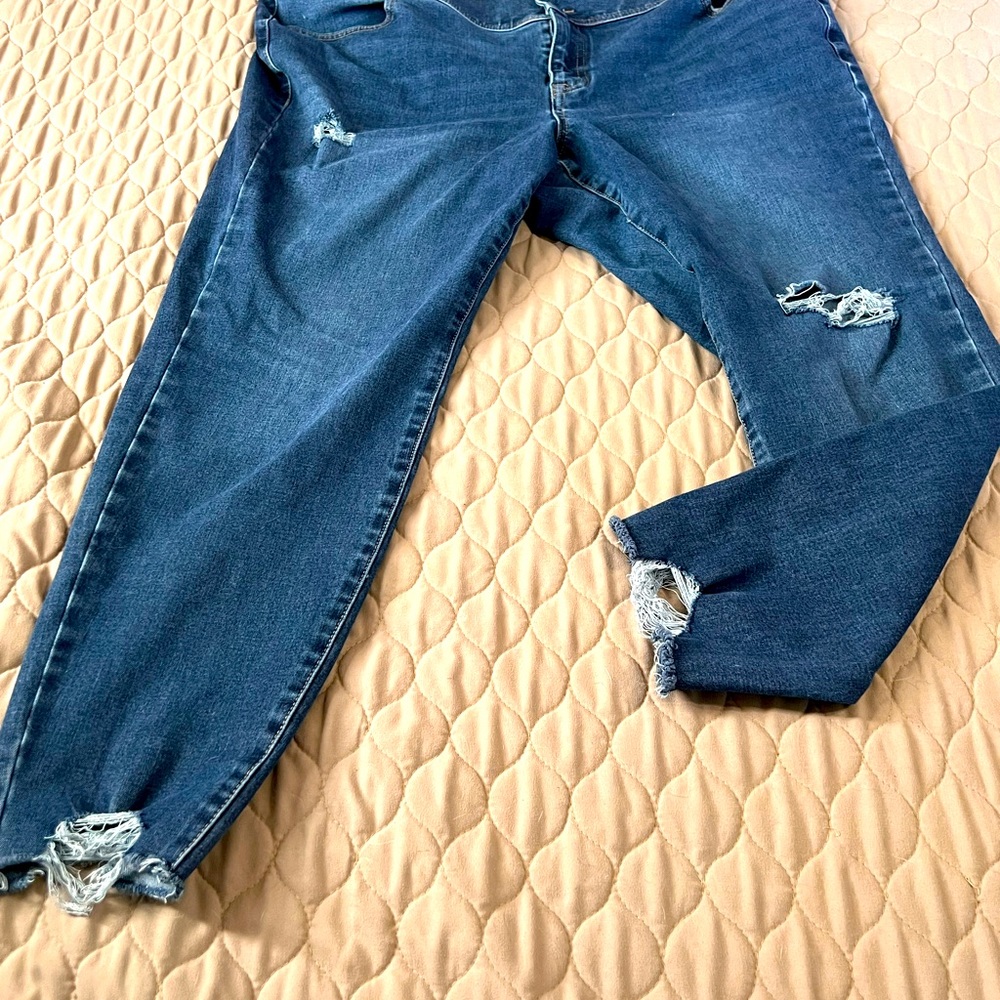 Lane Bryant cute jeggings less than a year old-great shape.
